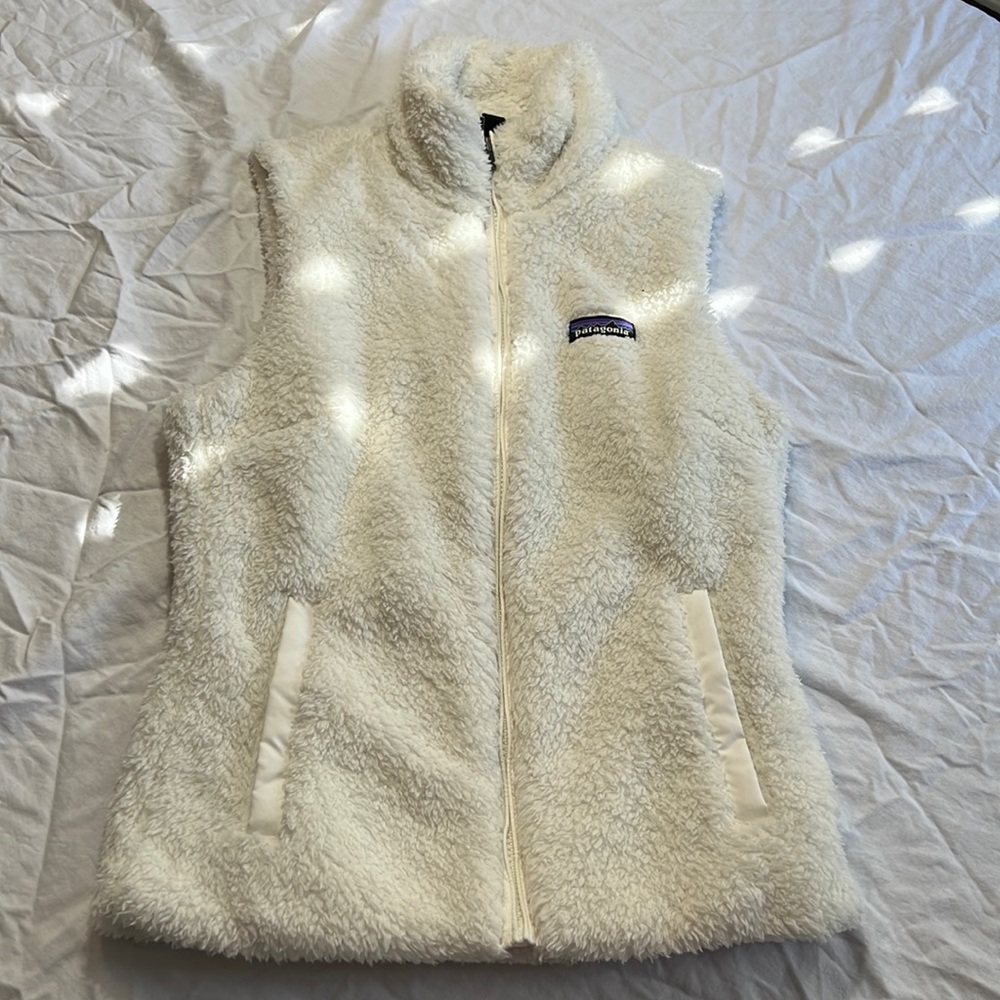 Patagonia vest.